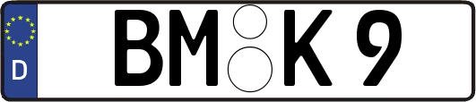 BM-K9