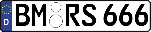 BM-RS666