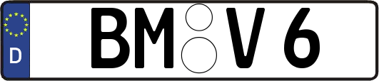 BM-V6
