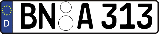 BN-A313