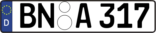 BN-A317