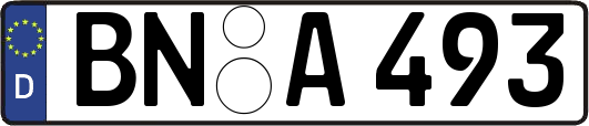 BN-A493