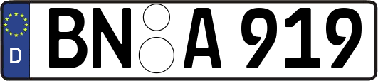 BN-A919