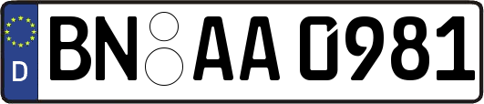 BN-AA0981