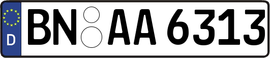 BN-AA6313