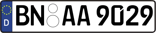 BN-AA9029