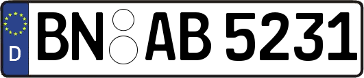 BN-AB5231