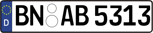 BN-AB5313
