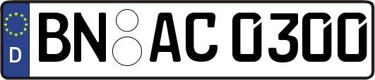 BN-AC0300