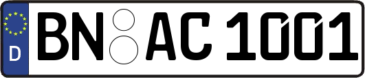 BN-AC1001