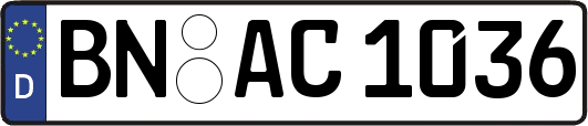 BN-AC1036
