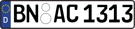 BN-AC1313