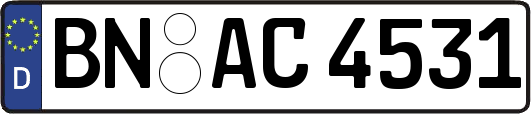 BN-AC4531