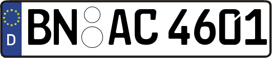 BN-AC4601