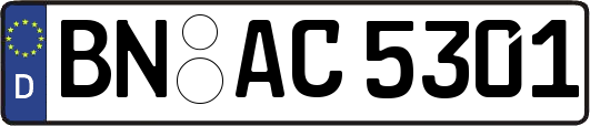 BN-AC5301