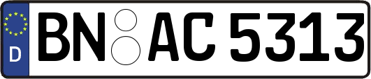 BN-AC5313