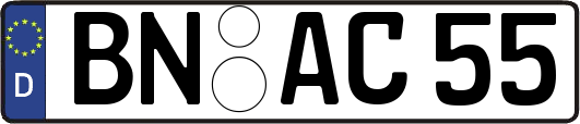 BN-AC55