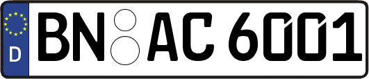 BN-AC6001