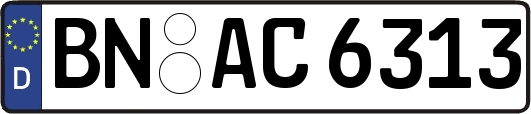 BN-AC6313