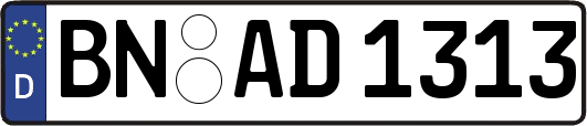 BN-AD1313