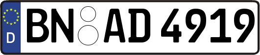 BN-AD4919