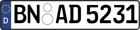 BN-AD5231