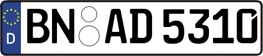 BN-AD5310