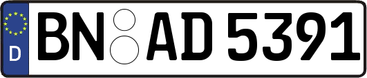 BN-AD5391
