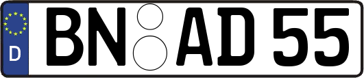 BN-AD55