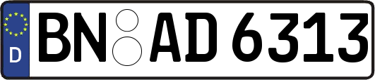 BN-AD6313