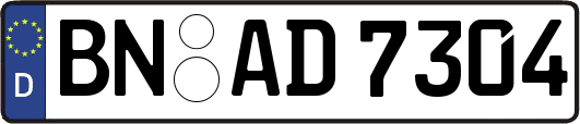 BN-AD7304