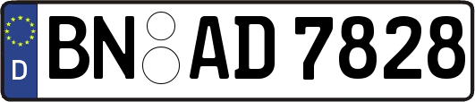 BN-AD7828