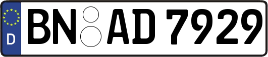 BN-AD7929