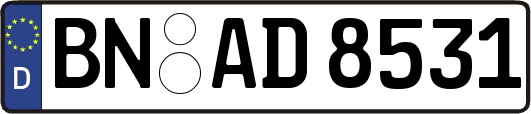 BN-AD8531