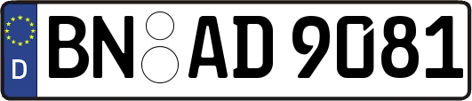BN-AD9081