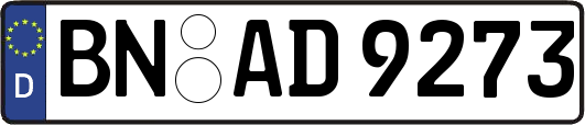 BN-AD9273