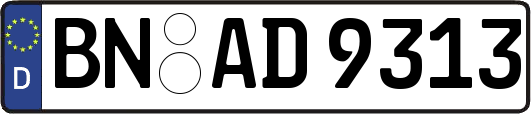 BN-AD9313