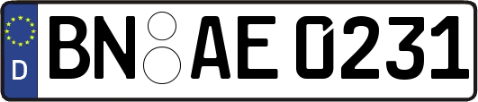 BN-AE0231