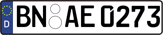 BN-AE0273