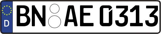 BN-AE0313