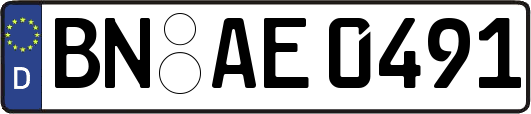 BN-AE0491