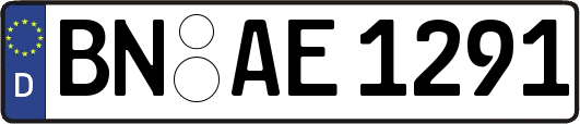 BN-AE1291