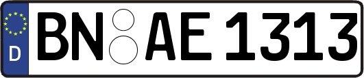 BN-AE1313
