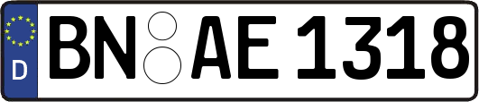 BN-AE1318