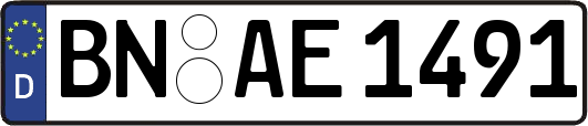 BN-AE1491