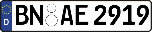 BN-AE2919