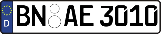 BN-AE3010