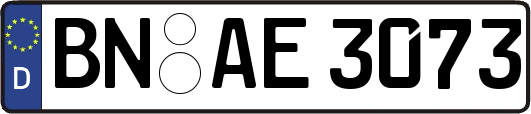BN-AE3073