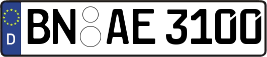 BN-AE3100