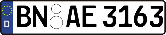 BN-AE3163